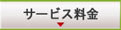 �T�[�r�X����